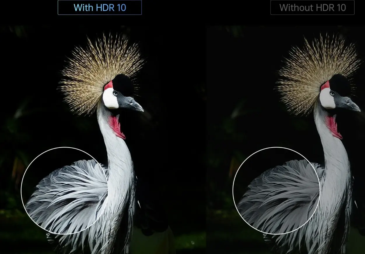 With-HDR-10-VS-Without-HDR-10